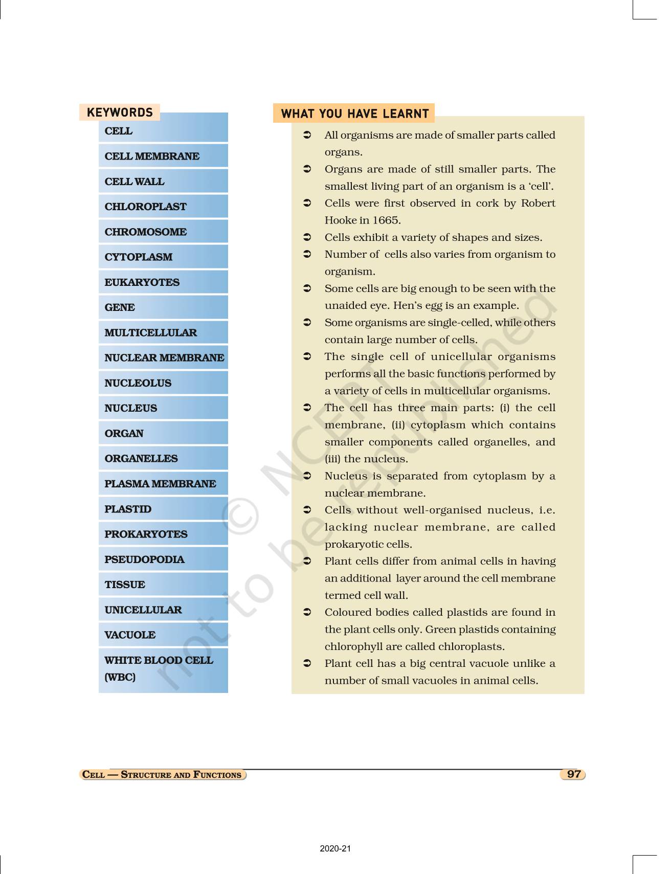 CBSE CLASS 8 CELL STRUCTURE AND FUNCTION visual data 8